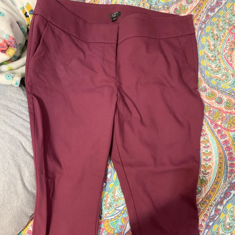 Loft Plus 16 Pants